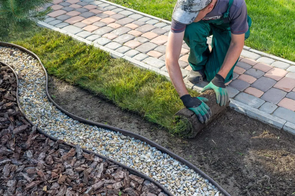 Aménagement paysager professionnel à Pfulgriesheim