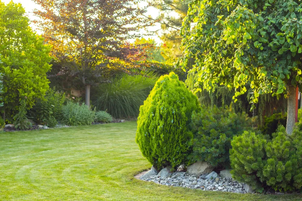 jardin-12